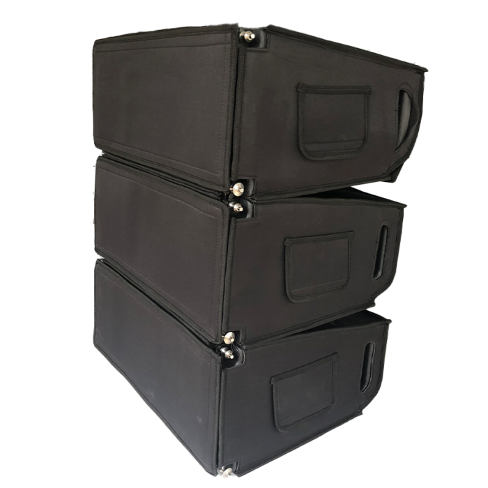 Line Array  Soft Case